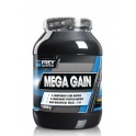 MEGA GAIN – 1000g 